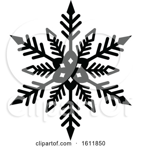 Black and White Snowflake