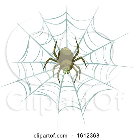 Clipart of a Spider on a Web - Royalty Free Vector Illustration by Vector Tradition SM