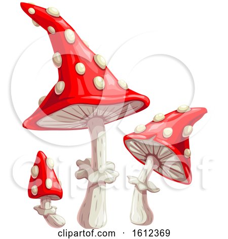 Clipart of a Trio of Mushrooms - Royalty Free Vector Illustration by Vector Tradition SM