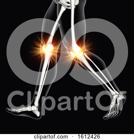 3D Male Medical Figure with Knee Bones Highlighted by KJ Pargeter