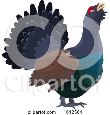 Clipart of a Grouse Game Bird - Royalty Free Vector Illustration by Vector Tradition SM