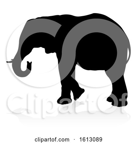 Elephant Safari Animal Silhouette, on a white background by AtStockIllustration