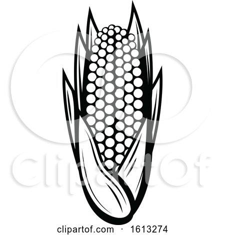 Clipart of a Black and White Ear of Corn - Royalty Free Vector Illustration by Vector Tradition SM
