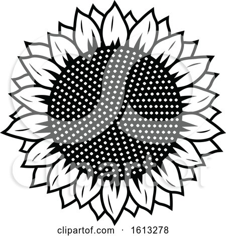 Clipart Black And White Sunflower - Royalty Free Vector Illustration by  Vector Tradition SM #1066370