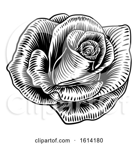 Rose Flower Woodcut Etching Style by AtStockIllustration