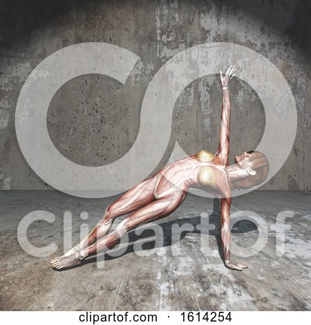 3D Female Figure with Muscle Map in Yoga Position in Grunge Room by KJ Pargeter