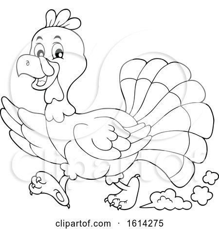 Clipart of a Black and White Running Turkey Bird - Royalty Free Vector Illustration by visekart