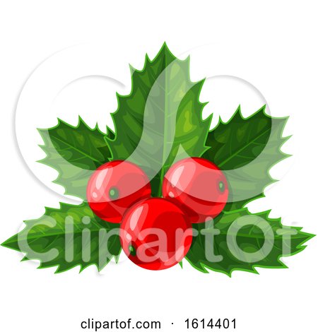 Clipart of a Christmas Holly Design - Royalty Free Vector Illustration by Vector Tradition SM