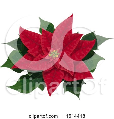 Clipart of a Red Poinsettia - Royalty Free Vector Illustration by Vector Tradition SM