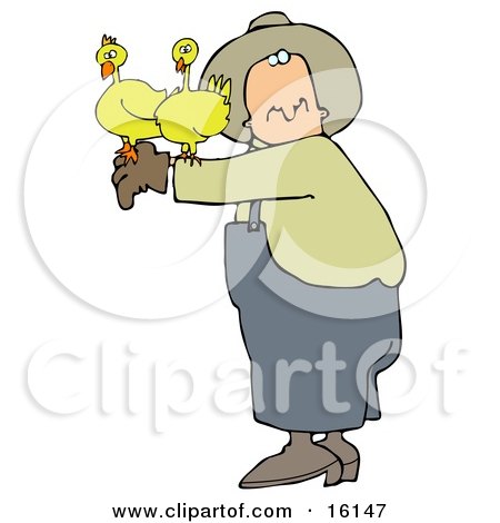 Male Farmer Holding Two Yellow Chickens On His Arm  Posters, Art Prints