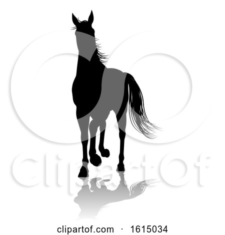 Horse Silhouette Animal, on a white background by AtStockIllustration