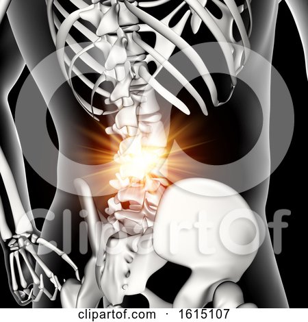 3D Male Medical Figure with Lower Spine Highlighted by KJ Pargeter