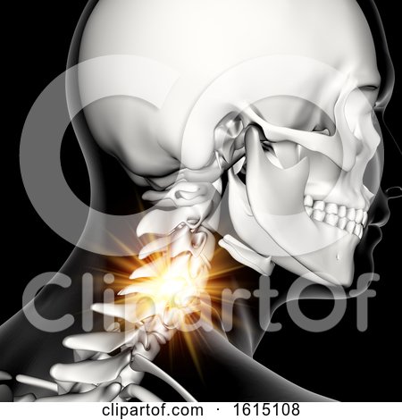 3D Male Medical Figure with Neck Bones Highlighted by KJ Pargeter
