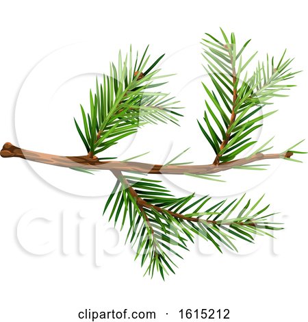 Clipart of a Spruce Tree Branch - Royalty Free Vector Illustration by dero