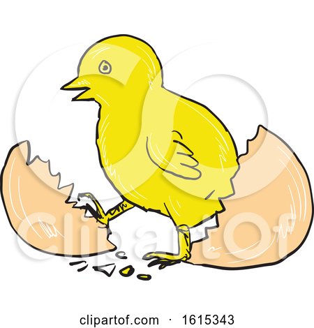 Clipart of a Sketched Chick Hatching out of an Egg - Royalty Free Vector Illustration by patrimonio