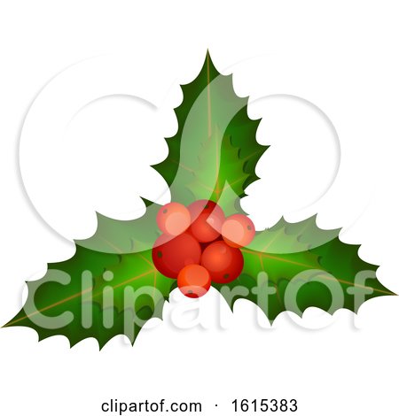 Clipart of a Sprig of Christmas Holly - Royalty Free Vector Illustration by dero