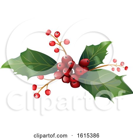 Clipart of a Sprig of Christmas Holly - Royalty Free Vector Illustration by dero