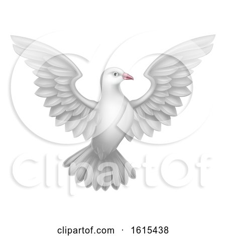 White Dove Concept by AtStockIllustration