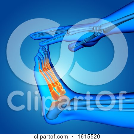 3D Male Medical Figure with Close up of Foot with Bones Highlighted by KJ Pargeter