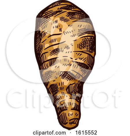 Clipart of a Sketched Arracacia Root Vegetable - Royalty Free Vector Illustration by Vector Tradition SM