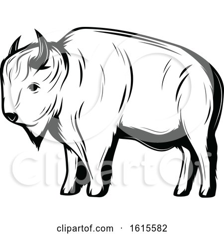Clipart of a Black and White Bison - Royalty Free Vector Illustration by Vector Tradition SM