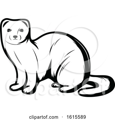 Clipart of a Black and White Weasel - Royalty Free Vector Illustration by Vector Tradition SM