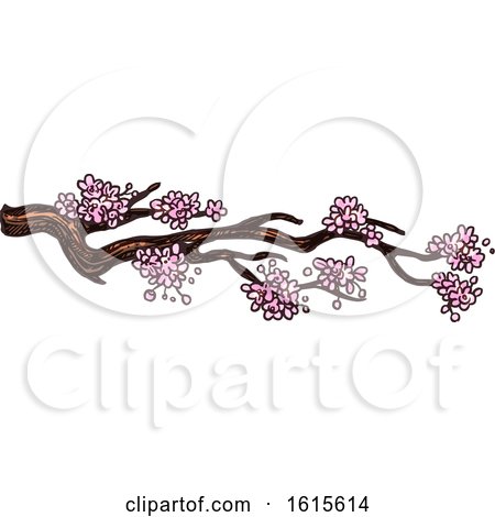 Clipart of a Sketched Branch with Blossoms - Royalty Free Vector Illustration by Vector Tradition SM