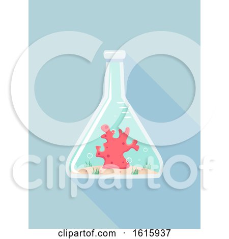 Flask Coral Experiment Illustration by BNP Design Studio