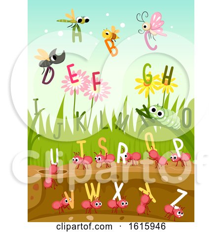 Bugs Insects Alphabet Illustration by BNP Design Studio