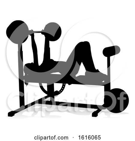 Gym Woman Silhouette Weights Bench Barbell, on a white background by ...