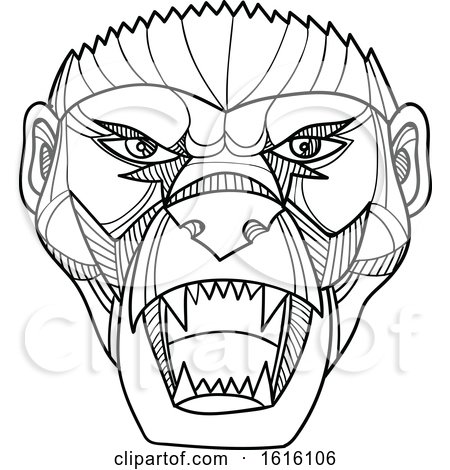 Clipart of a Mono Line Head of an Angry Honey Badger or Ratel - Royalty Free Vector Illustration by patrimonio
