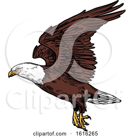 Clipart of a Sketched Flying Bald Eagle - Royalty Free Vector Illustration by Vector Tradition SM