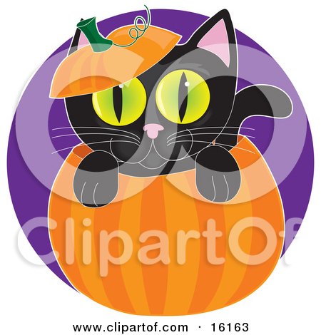 Cute Black Cat With Big Green Eyes, Peeping Out From Inside A Halloween Pumpkin, With The Top On His Head Clipart Illustration Image by Maria Bell