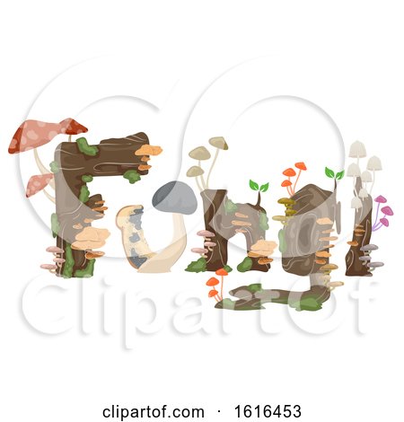 Botany Fungi Illustration by BNP Design Studio