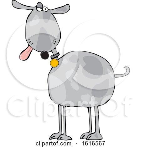 Clipart of a Cartoon Goofy Gray Dog with His Tongue Hanging out - Royalty Free Vector Illustration by djart