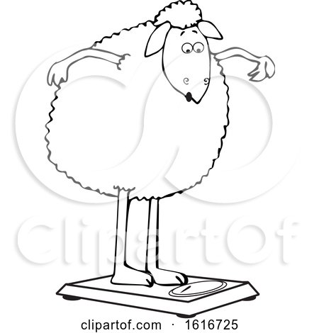 Clipart of a Cartoon Lineart Sheep Standing on a Scale - Royalty Free Vector Illustration by djart