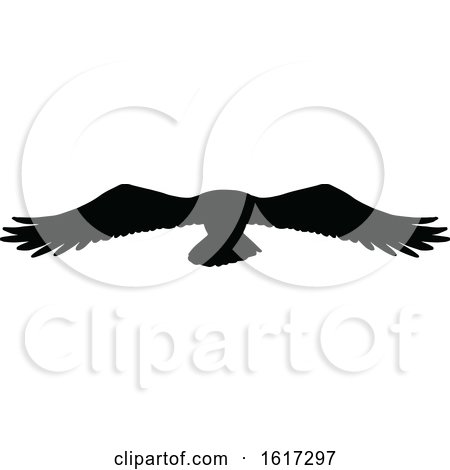 Silhouetted Flying Eagle by Vector Tradition SM