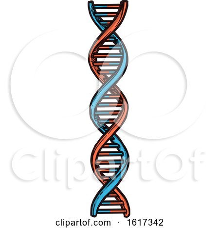 Dna Strand by Vector Tradition SM