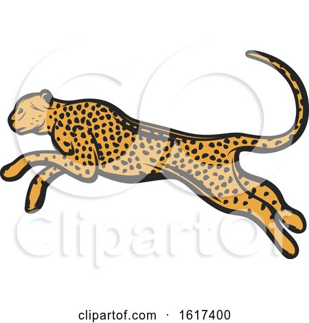 Running Cheetah by Vector Tradition SM