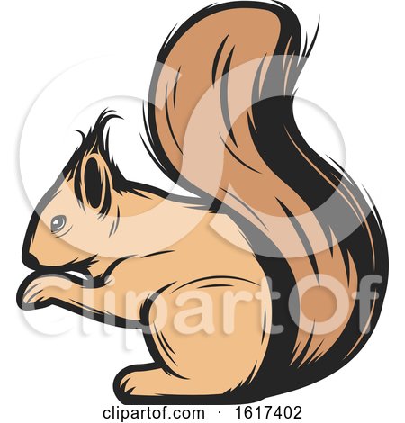 Squirrel by Vector Tradition SM