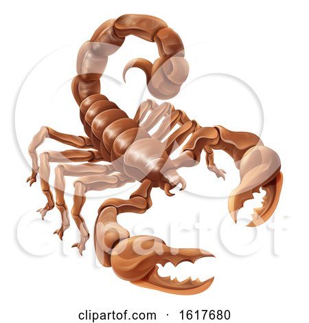 Scorpion Scorpio Zodiac Sign Design by AtStockIllustration