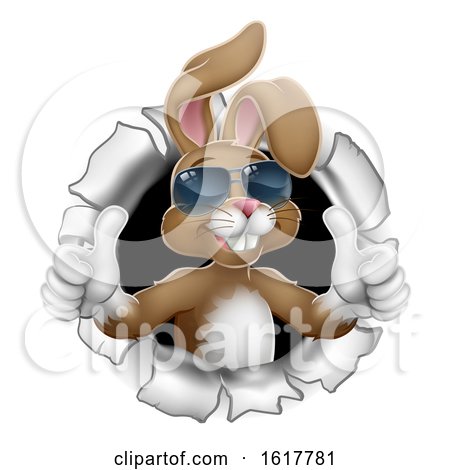 Easter Bunny Cool Thumbs up Rabbit in Sunglasses by AtStockIllustration