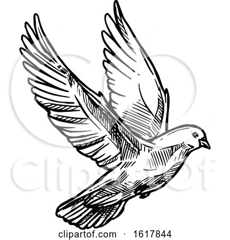 Black and White Sketched Flying Dove by Vector Tradition SM