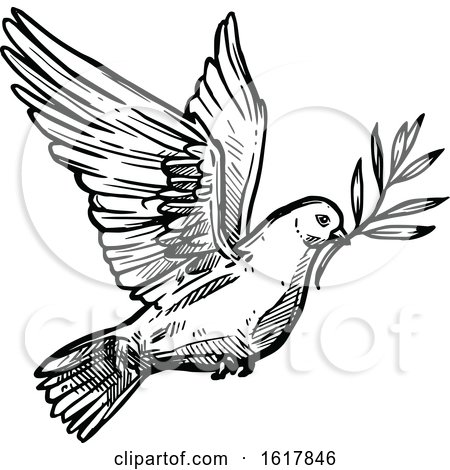 Black and White Sketched Flying Dove by Vector Tradition SM