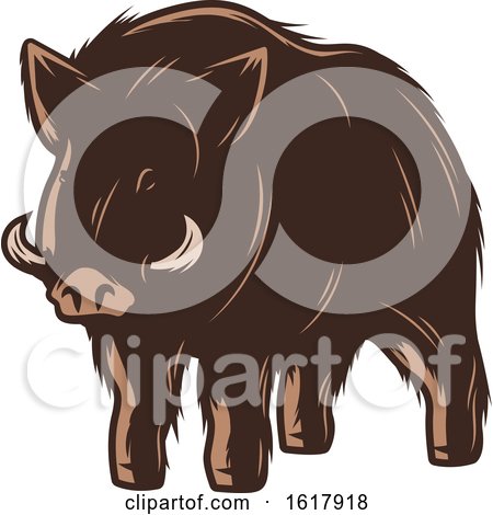 Wild Boar by Vector Tradition SM