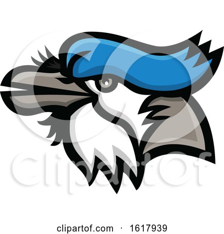 Blue Jay Mascot Head by patrimonio