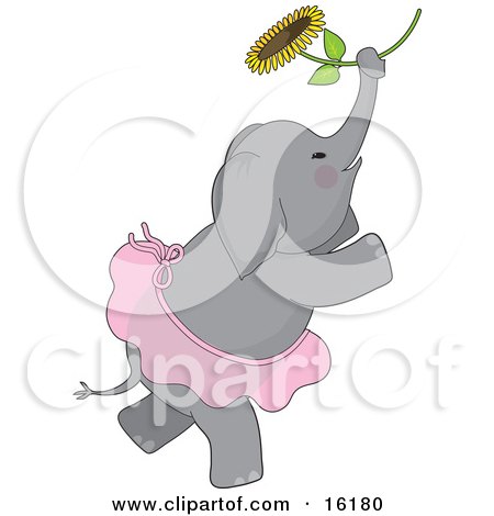 Cute Elephant With Rosey Cheeks, Wearing A Ballerina Tutu While Dancing Ballet With A Sunflower Clipart Illustration Image by Maria Bell