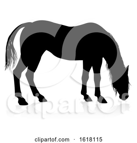 Horse Animal Silhouette, on a white background by AtStockIllustration