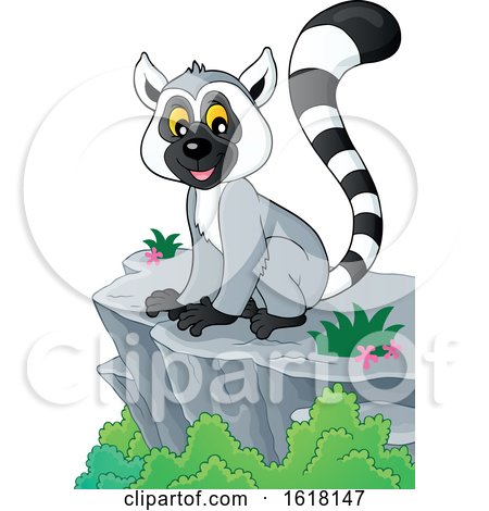 Happy Lemur on a Cliff by visekart