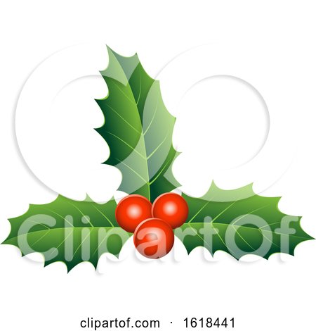 Christmas Holly and Berry Design Element by cidepix